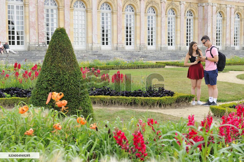 Illustration - Versailles