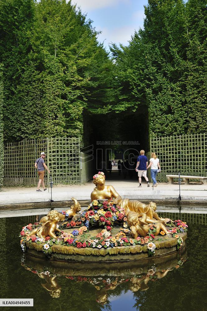 Illustration - Versailles