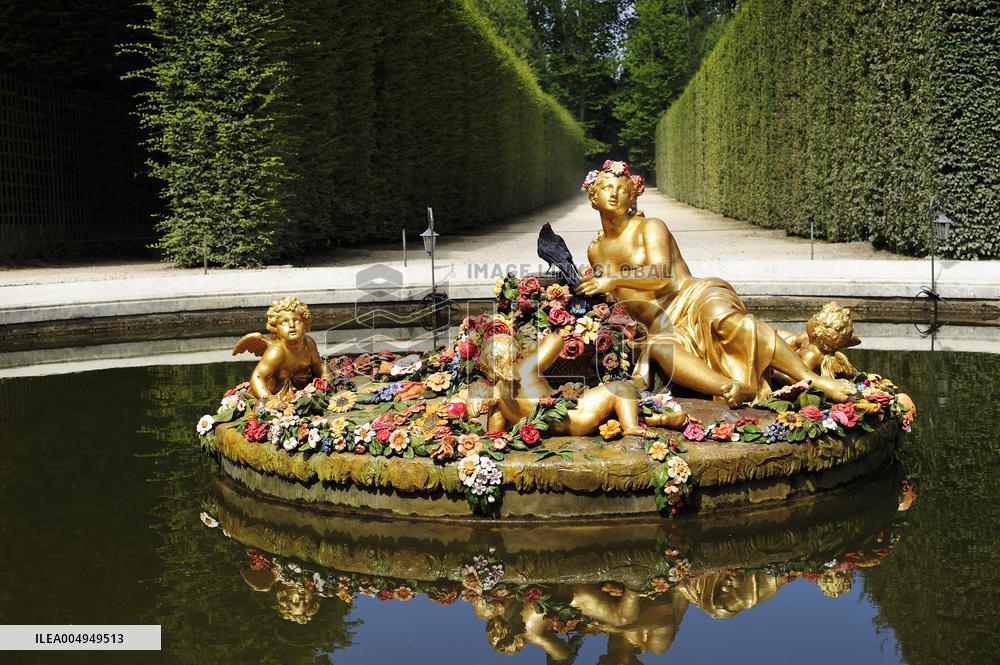 Illustration - Versailles