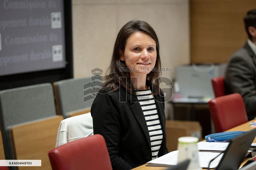 Committee hearing for E-commerce giant Shein at National Assembly - Paris AJ