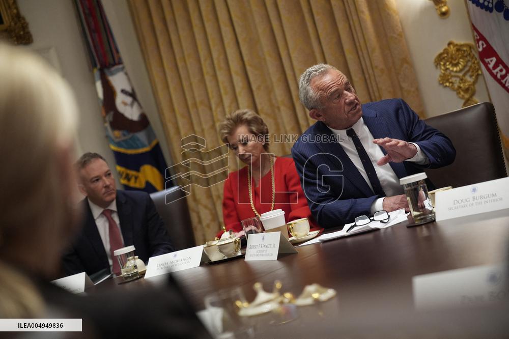 Trump Holds a Cabinet Meeting - Washington, DC