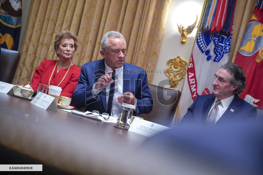 Trump Holds a Cabinet Meeting - Washington, DC