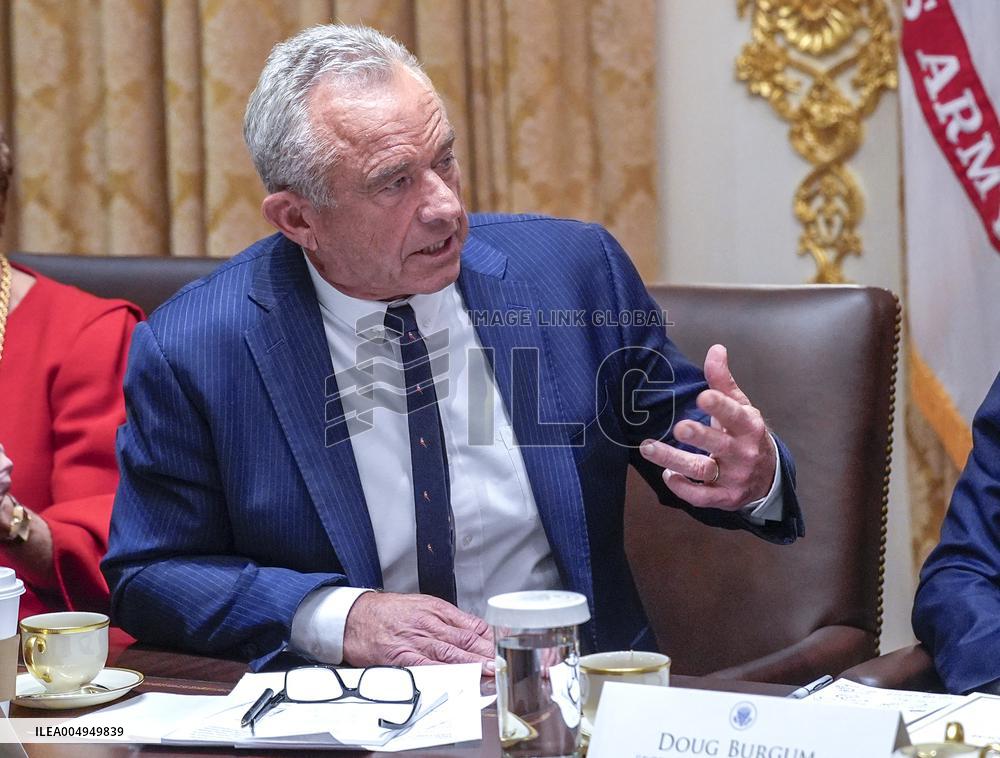 Trump Holds a Cabinet Meeting - Washington, DC