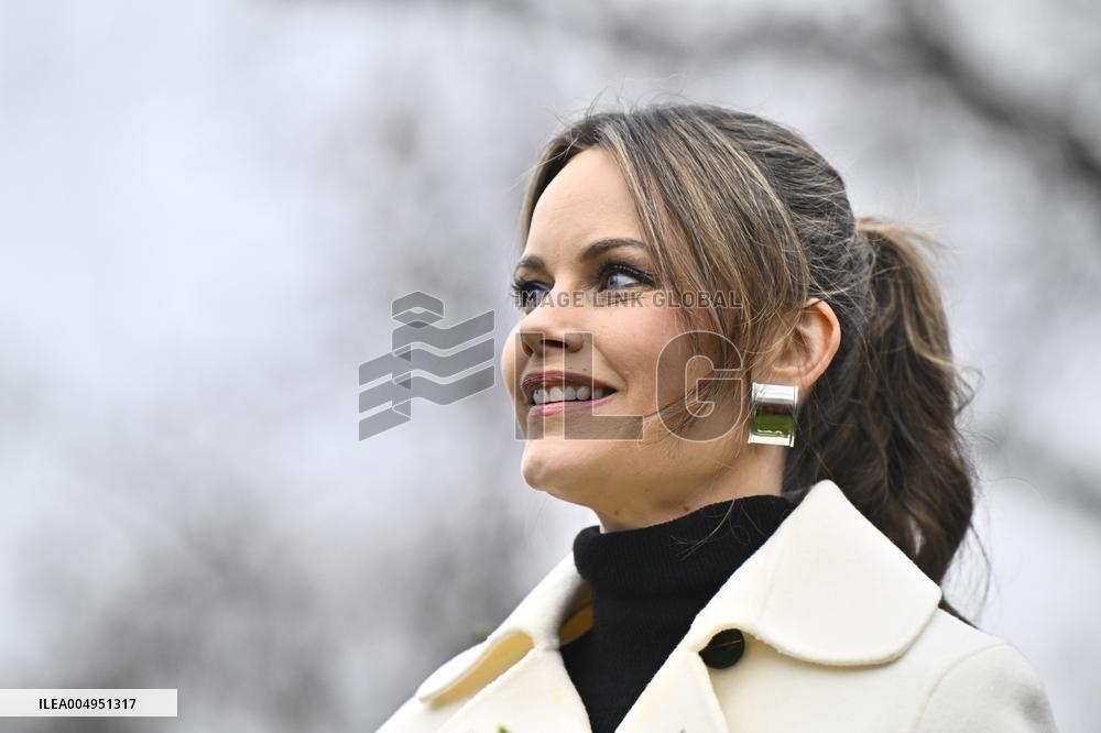 PRINCESS SOFIA ROSENDAL VASE