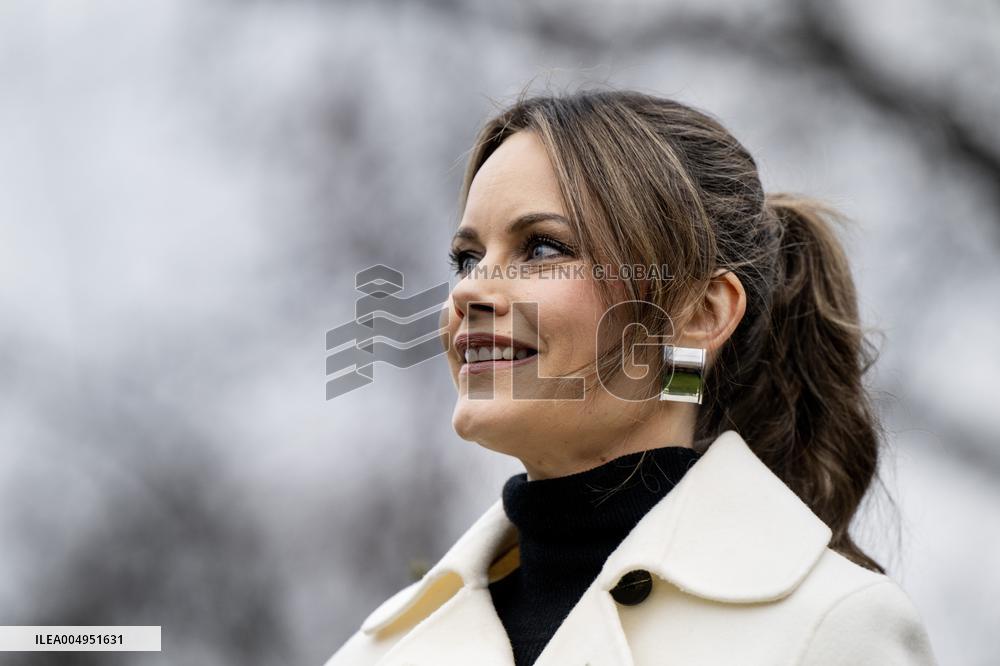 PRINCESS SOFIA ROSENDAL VASE