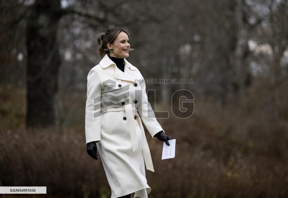 PRINCESS SOFIA ROSENDAL VASE