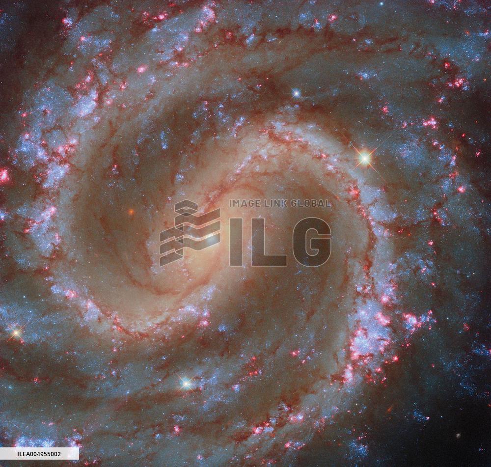 Hubble Seeks Clusters in Lost Galaxy