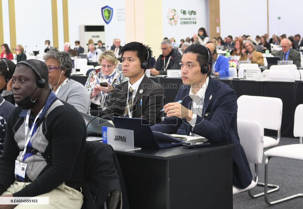 Trade curbs on all eels rejected