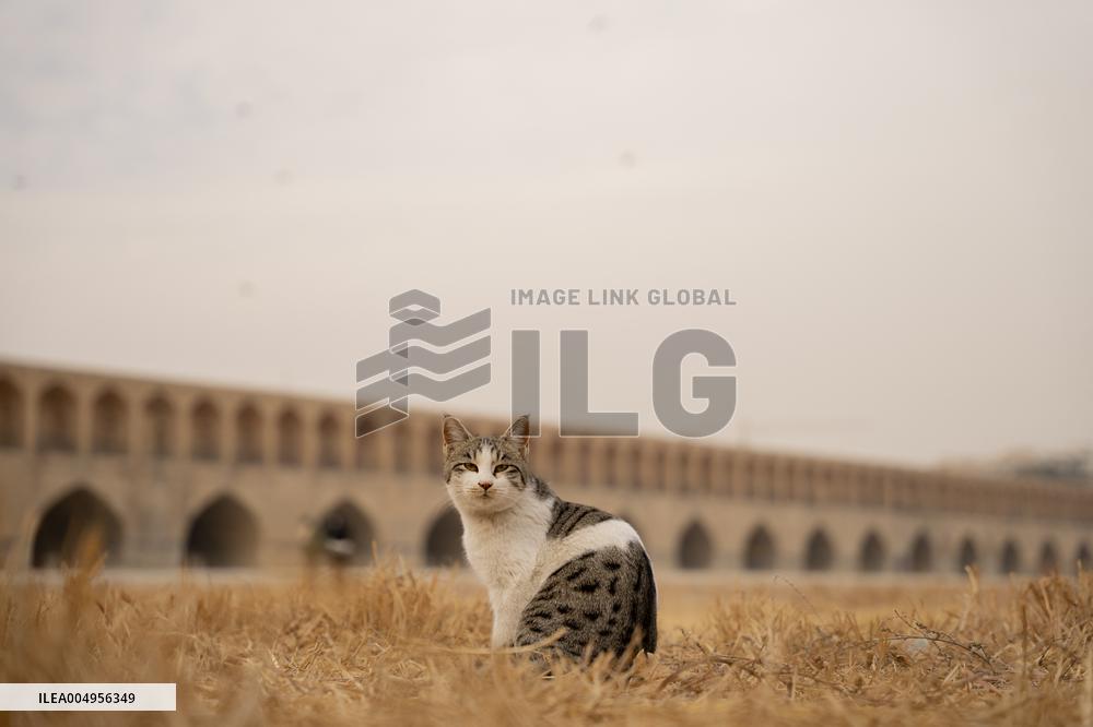 Zayanderud Riverbed Dries Up - Iran