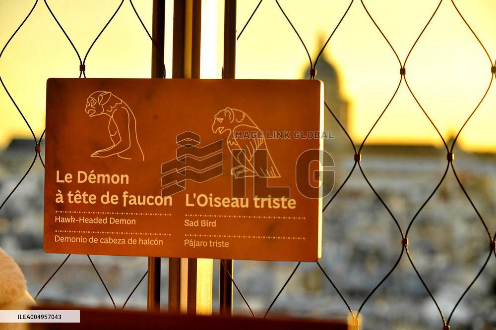 Serge Papin Visits Notre-Dame de Paris Cathedral - Paris