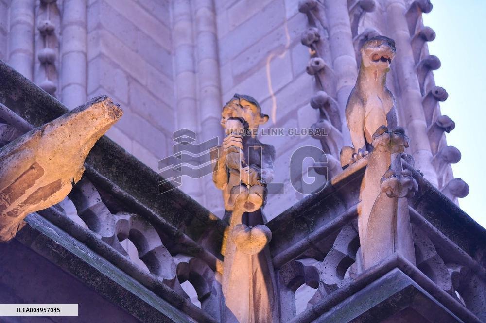 Serge Papin Visits Notre-Dame de Paris Cathedral - Paris