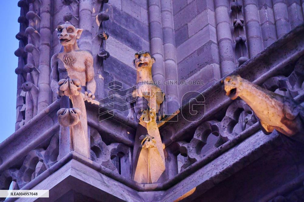 Serge Papin Visits Notre-Dame de Paris Cathedral - Paris