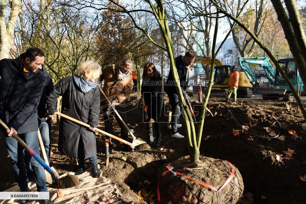 The New Season Of Tree Planting - Paris