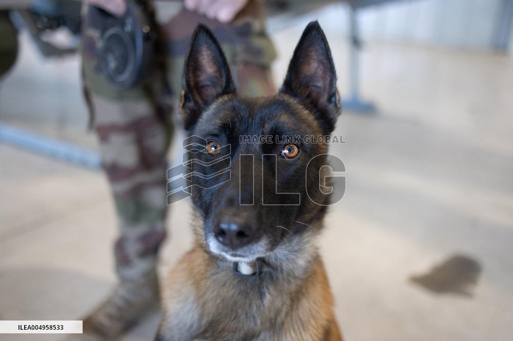 Immersion day on the implementation of National Service within the Air and Space Force - Orange