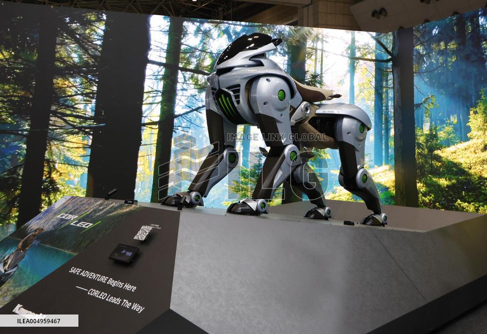 Robot exhibition in Tokyo