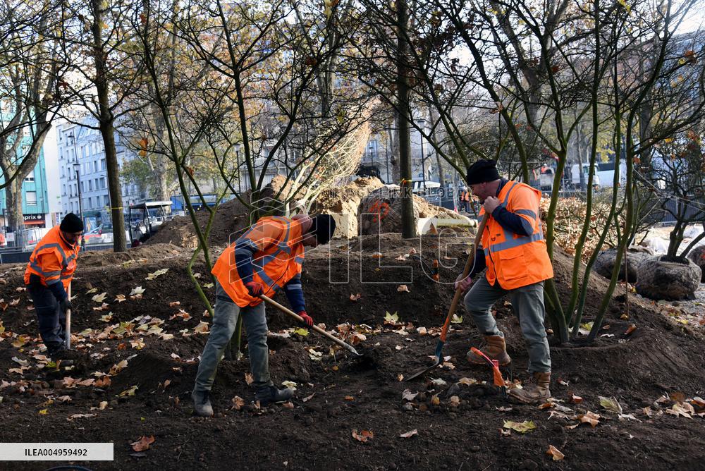 The New Season Of Tree Planting - Paris