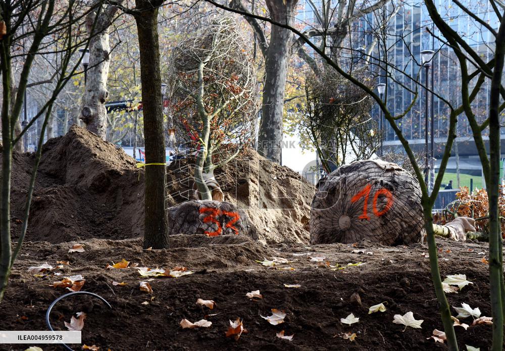 The New Season Of Tree Planting - Paris