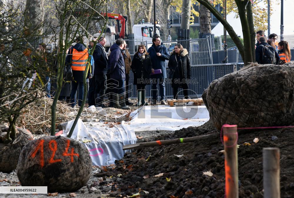 The New Season Of Tree Planting - Paris