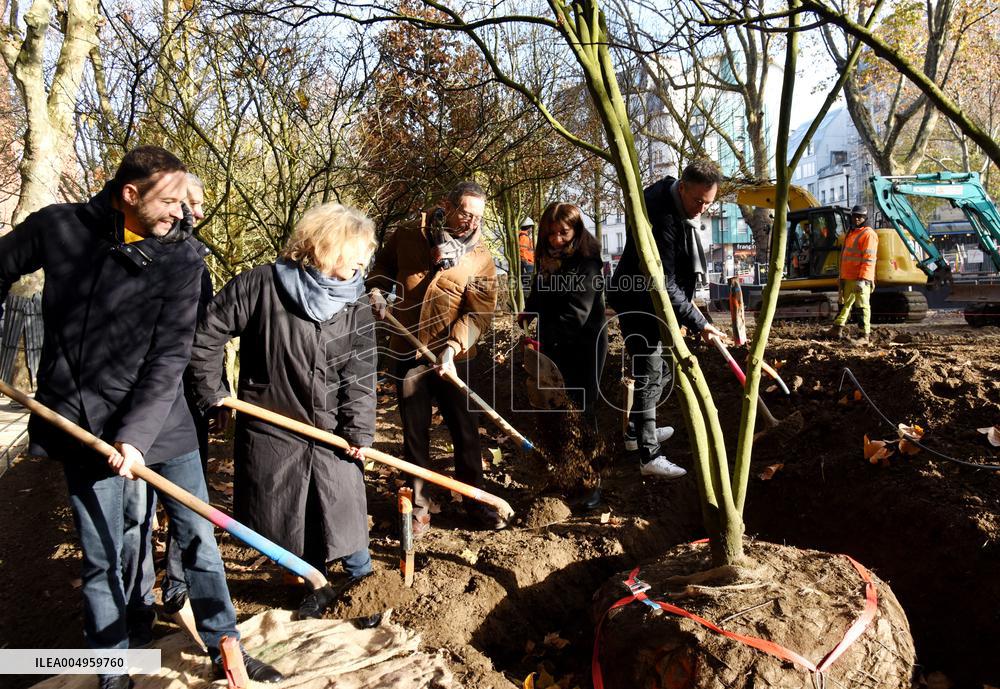 The New Season Of Tree Planting - Paris