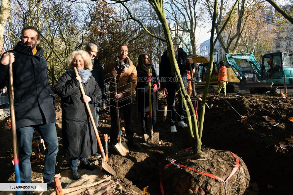 The New Season Of Tree Planting - Paris