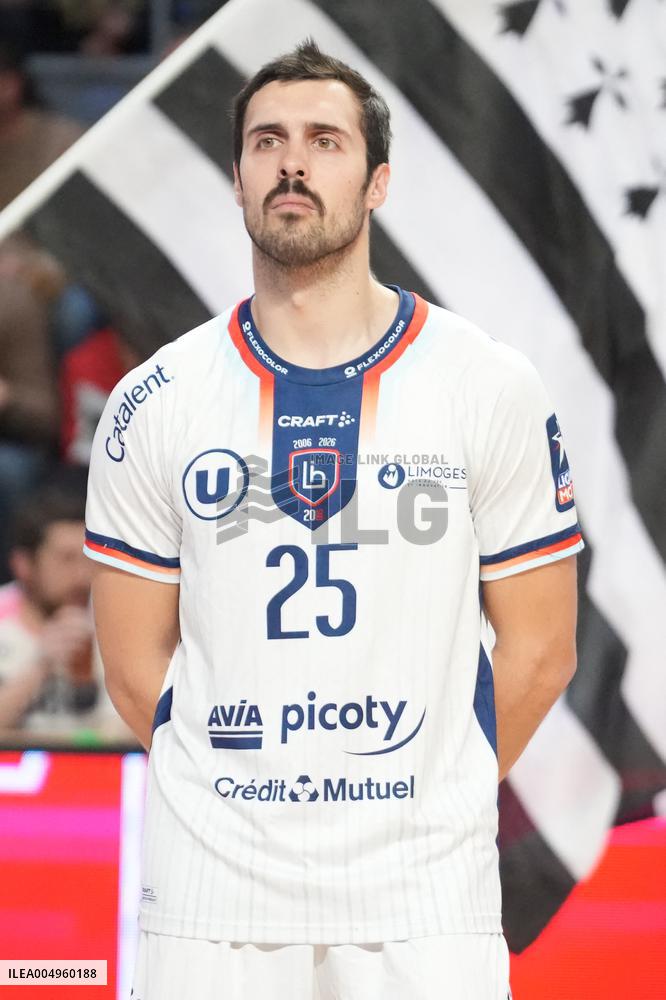 Handball French Championship - Rennes v Limoges