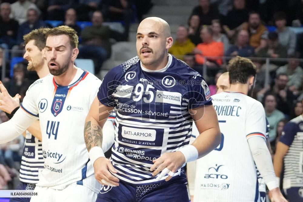 Handball French Championship - Rennes v Limoges