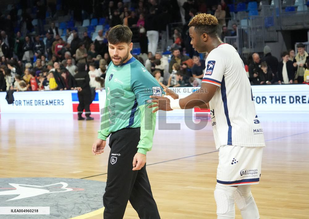 Handball French Championship - Rennes v Limoges