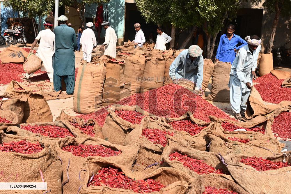 Dried Red Chilies - Pakistan