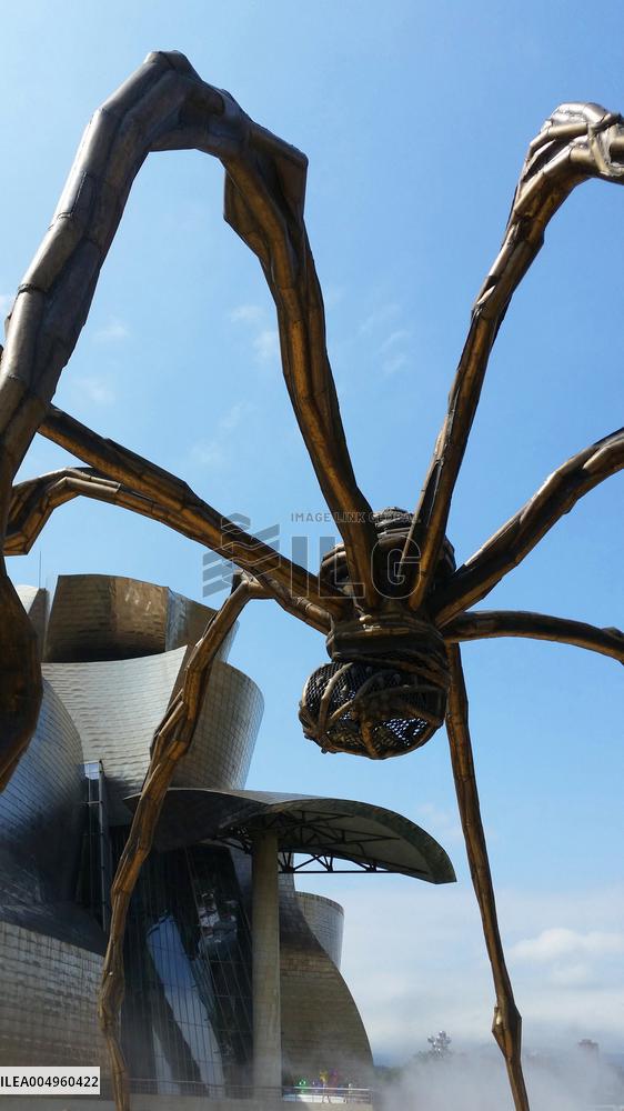 Illustration - Guggenheim Museum - Spain