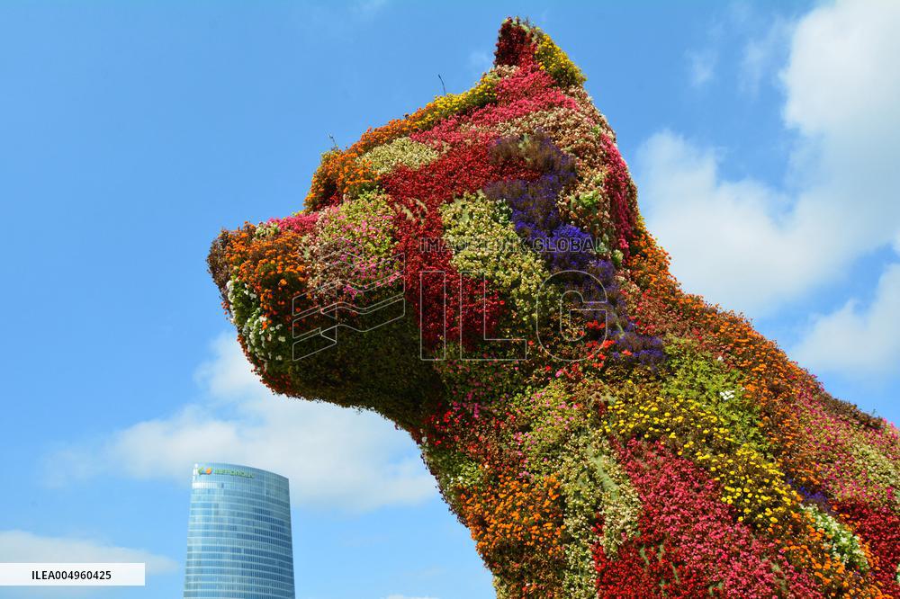 Illustration - Guggenheim Museum - Spain