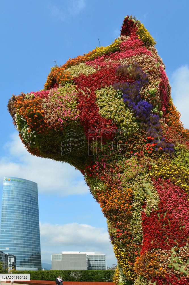 Illustration - Guggenheim Museum - Spain