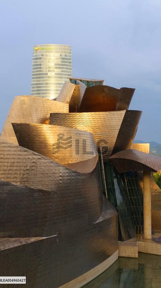 Illustration - Guggenheim Museum - Spain