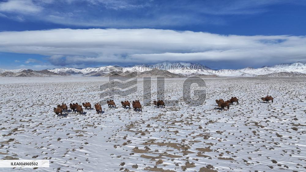 Winter Scenery - China