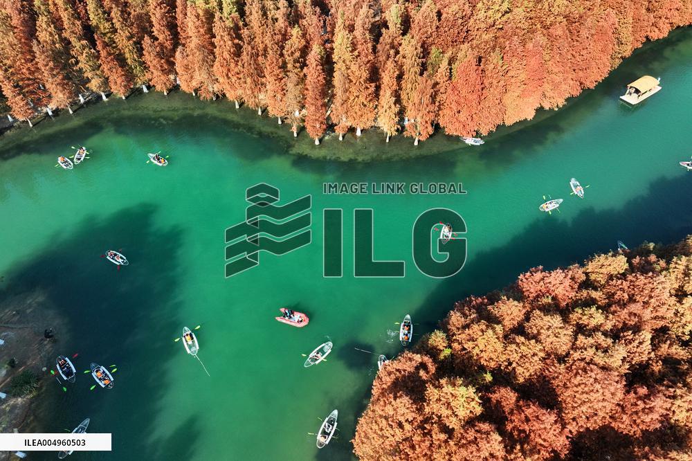 Winter Scenery - China