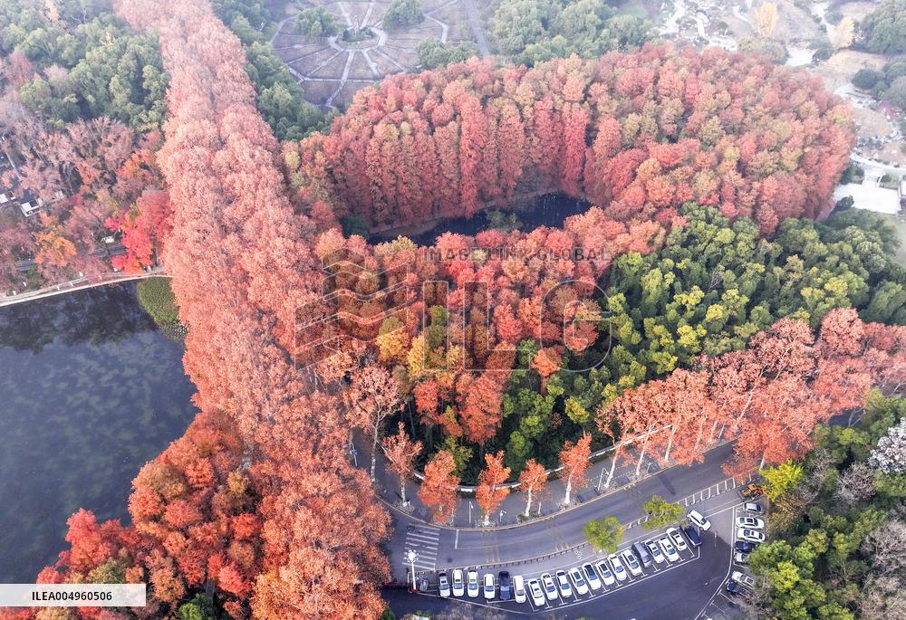 Winter Scenery - China