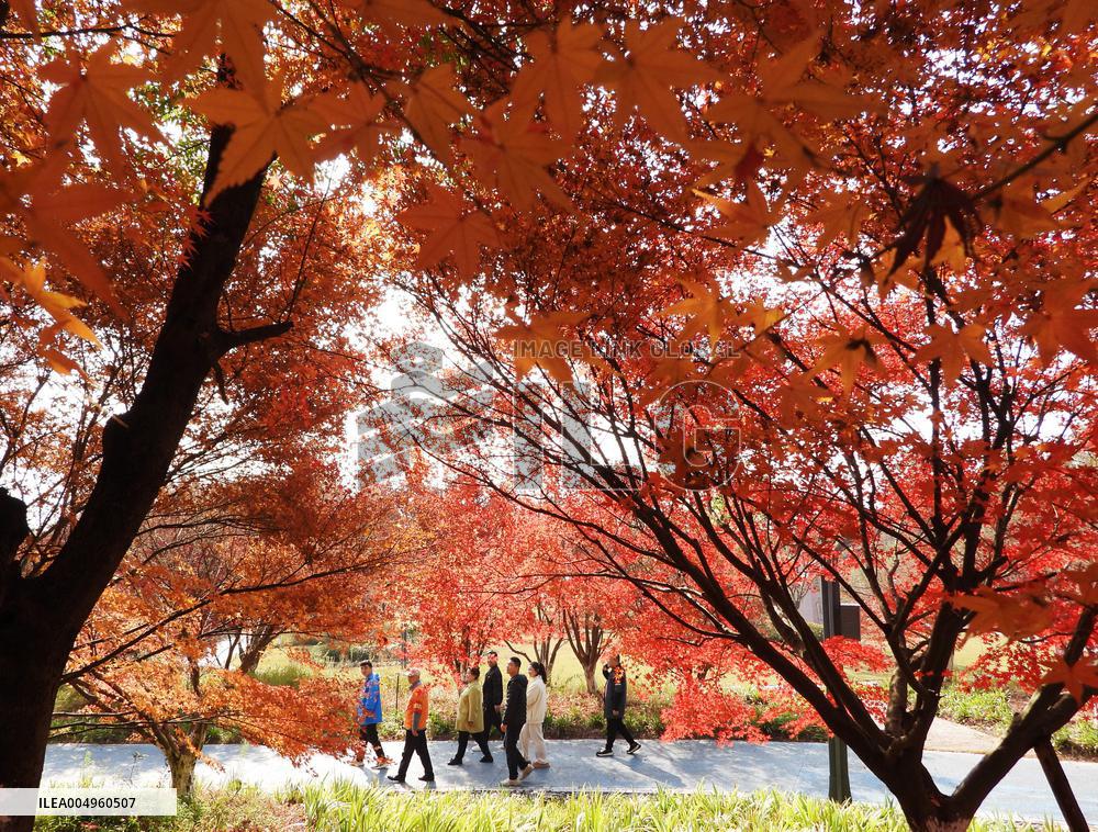 Winter Scenery - China