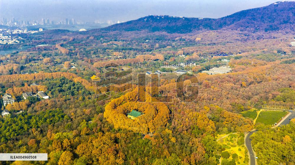 Winter Scenery - China