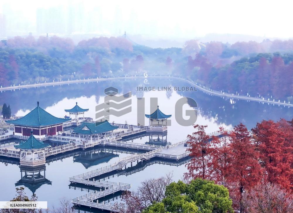 Winter Scenery - China