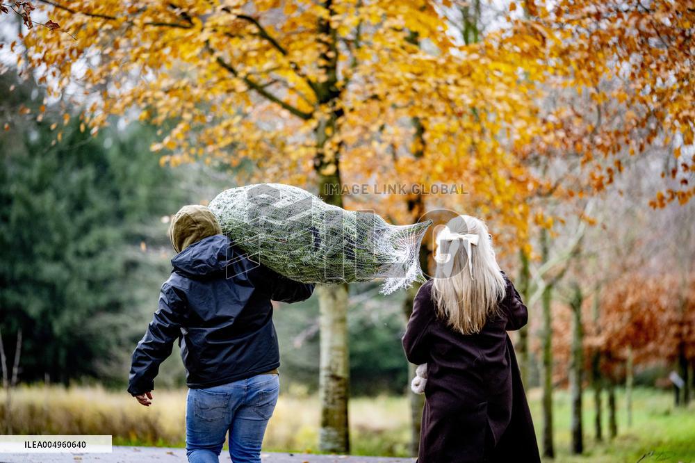 Christmas Tree Sales - Netherlands
