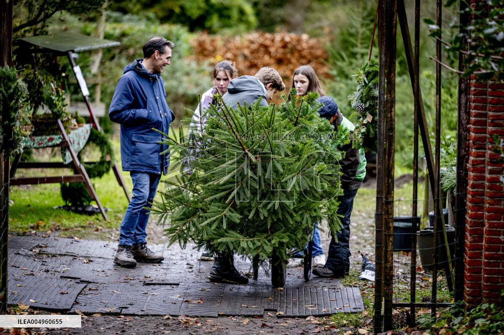 Christmas Tree Sales - Netherlands