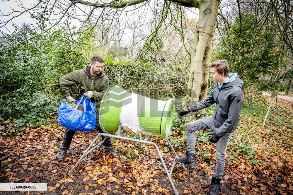Christmas Tree Sales - Netherlands