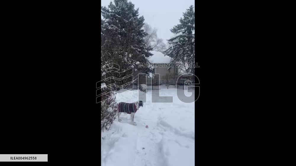 US: Cold Front Sweeps Through Illinois, Causing Travel Disruptions