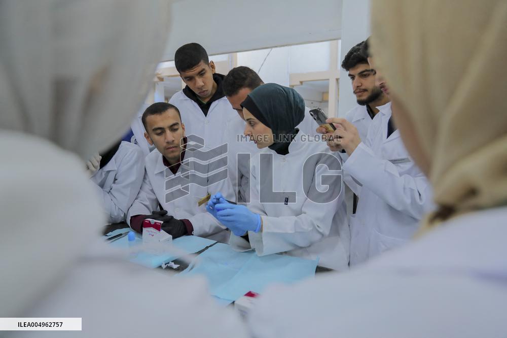 Al Azhar University in Gaza Reopens Dentistry Faculty - Palestine