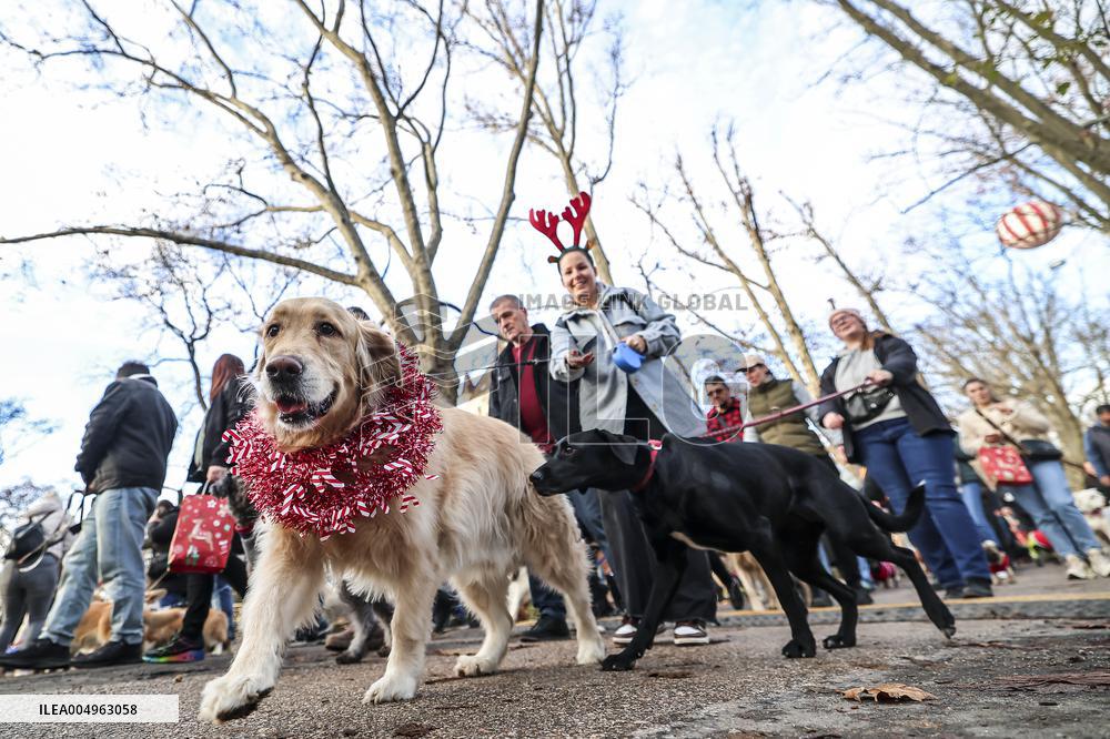 Santa Dog Walk - Budapest