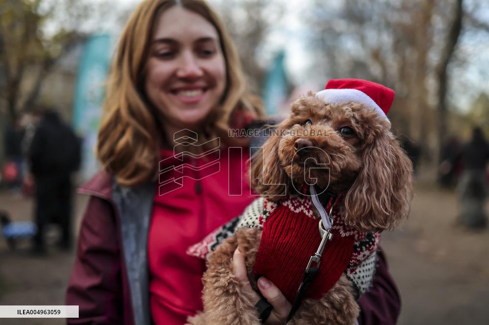 Santa Dog Walk - Budapest