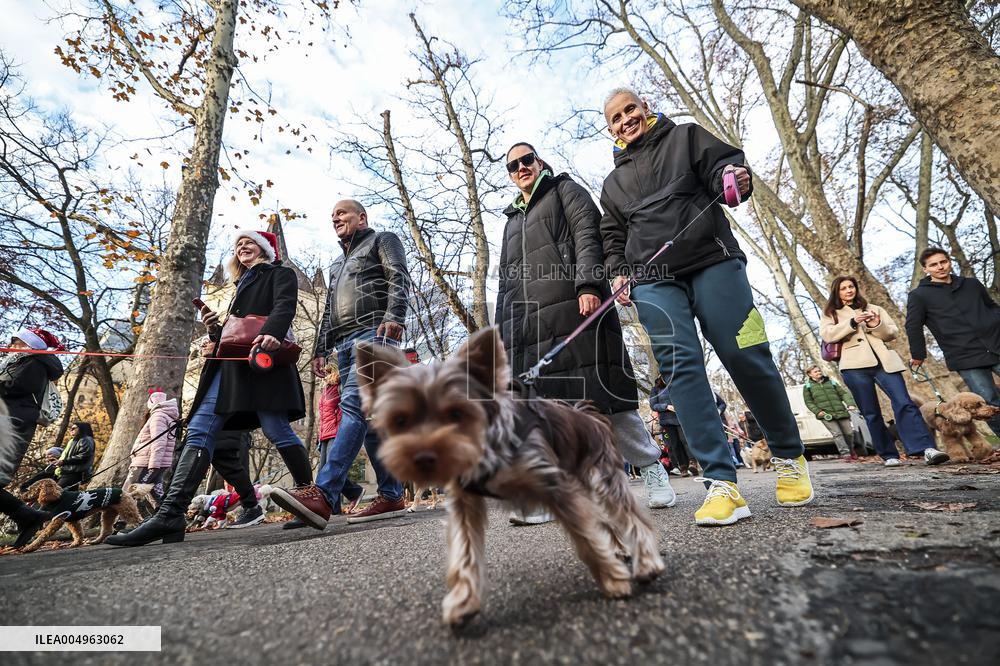 Santa Dog Walk - Budapest