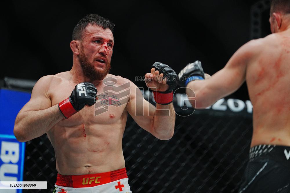 UFC 323 - Dvalishvili vs Yan 2