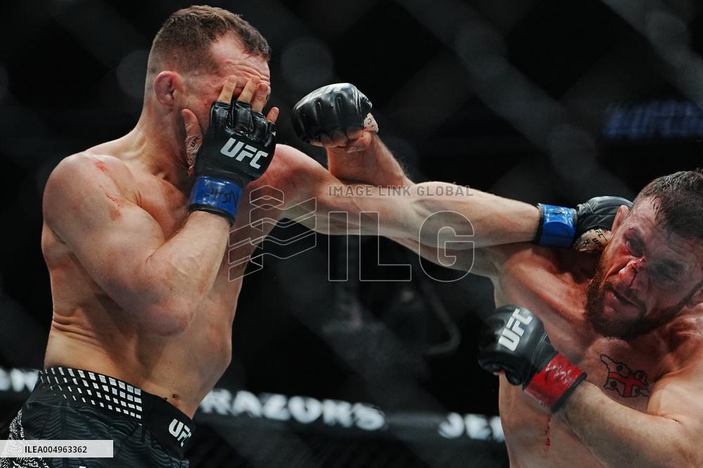 UFC 323 - Dvalishvili vs Yan 2