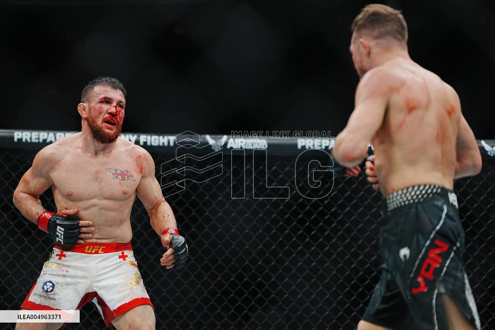 UFC 323 - Dvalishvili vs Yan 2