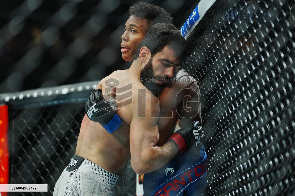 UFC 323 - Dvalishvili vs Yan 2